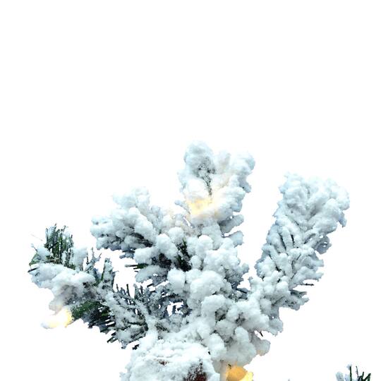 5ft. Pre-Lit Flocked Spruce Artificial Christmas Tree, Warm White Dura-Lit® LED Lights